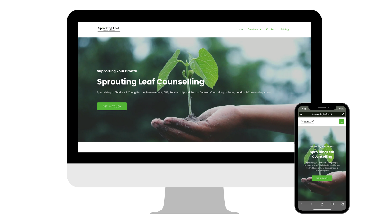 affordable web design essex